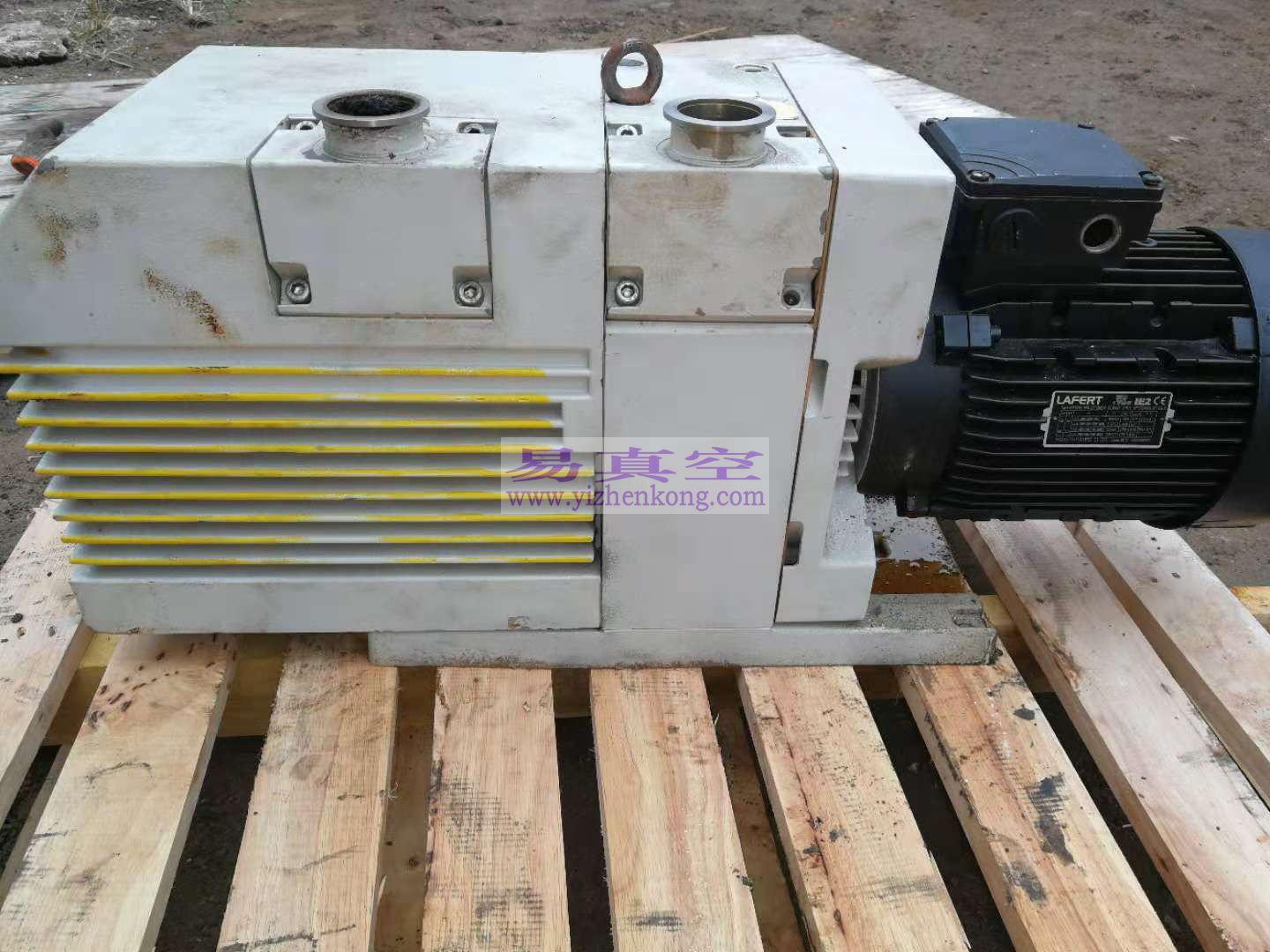 莱宝D65B真空泵维修